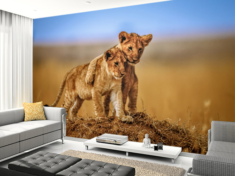 Eviniz için yavru aslanlar duvar kağıdı