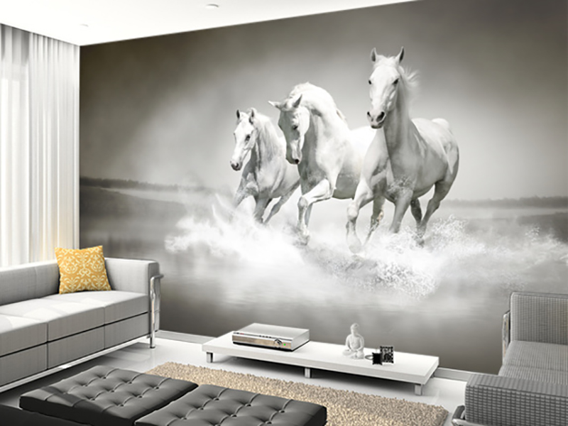 Eviniz için beyaz at duvar kağıtları