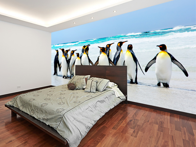 Eviniz için penguen duvar kağıdı
