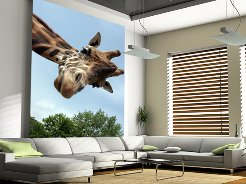 Eviniz için zürafa duvar kağıdı