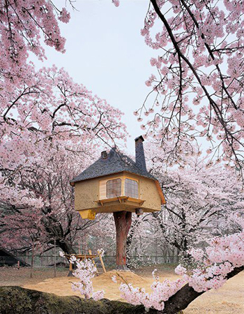 İlginç Japon evi